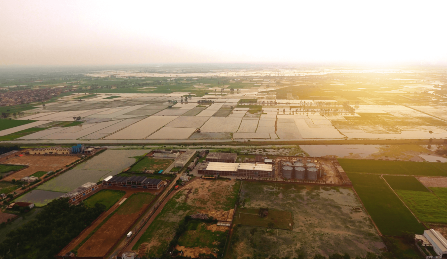 Matco Food Limited